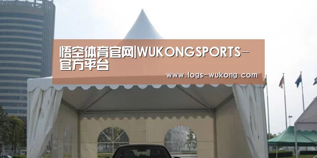案例标题八